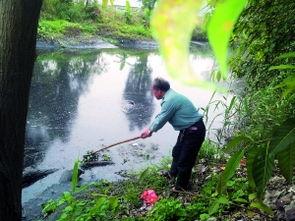 珠海平沙最新爆料,揭秘神秘项目背后的故事